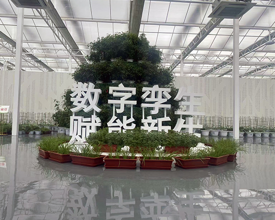 荷兰温室